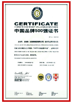 中國500最具價值品牌